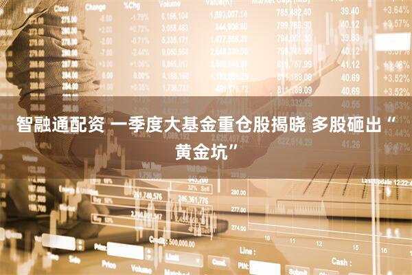 智融通配资 一季度大基金重仓股揭晓 多股砸出“黄金坑”