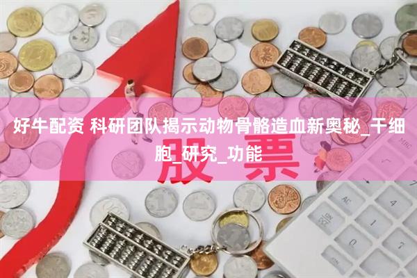 好牛配资 科研团队揭示动物骨骼造血新奥秘_干细胞_研究_功能