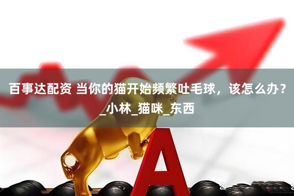 百事达配资 当你的猫开始频繁吐毛球，该怎么办？_小林_猫咪_东西